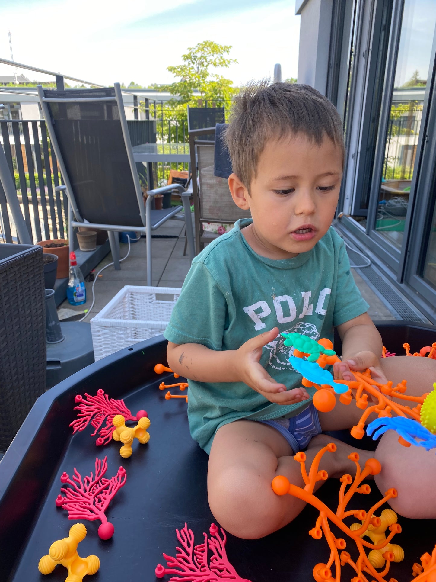 Coral Connections: Dive Into Creativity and Discovery